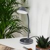 Shreveport Tafellamp LED Antraciet, Wit, 1-licht