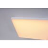 Paul Neuhaus Q-FRAMELESS Paneel LED Wit, 1-licht, Afstandsbediening, Kleurwisselaar