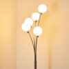 Bernado Staande lamp Nikkel mat, 5-lichts
