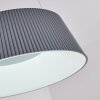 Fremont Hanger LED Grijs, 1-licht, Afstandsbediening