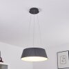 Fremont Hanger LED Grijs, 1-licht, Afstandsbediening