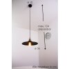 Globo KNUD Hanger Zwart-Goud, 1-licht