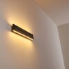 Obion Wandlamp LED Zwart, 2-lichts