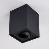 Betsie Plafondlamp Zwart, 1-licht