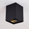 Betsie Plafondlamp Zwart, 1-licht