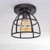 Haervej Plafondlamp Zwart, 1-licht