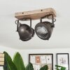 Glostrup Plafondlamp Bruin, roestvrij staal, 2-lichts