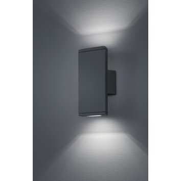 Trio COLORADO Buiten muurverlichting LED Antraciet, 2-lichts
